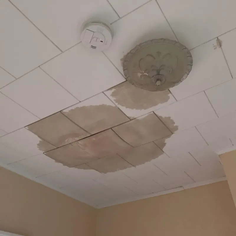 Ceiling Water Damage Repair in City of Buena Vista, VA