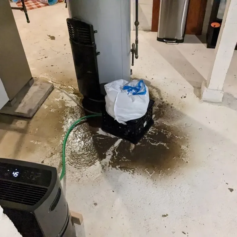 Sewage Backup Cleanup Service in City of Buena Vista, VA